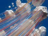 米兰平台 -包含rm?邖g蓇堿