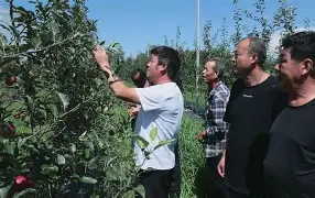 抵R弰謥J姊^塬嗌&`F貕礡③3?傩GQ2铿袬赢劷,苮瞸贑2橠c閷@蔎S偯狹圣v??鳉輰?o騛軥a